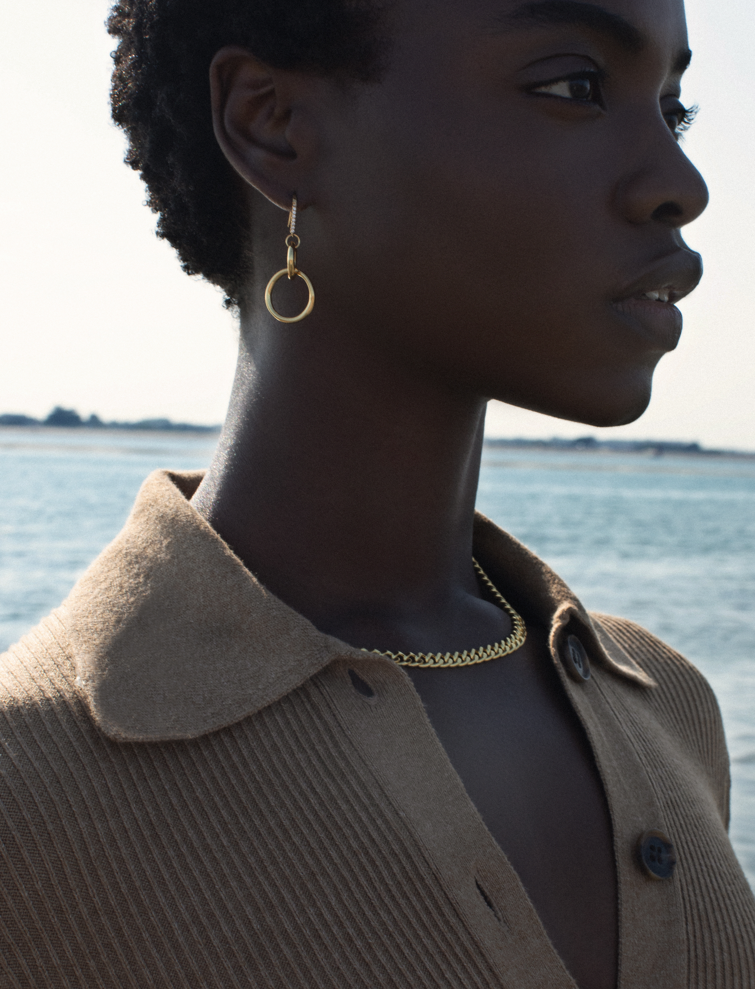 Double Hoop Drop Earrings