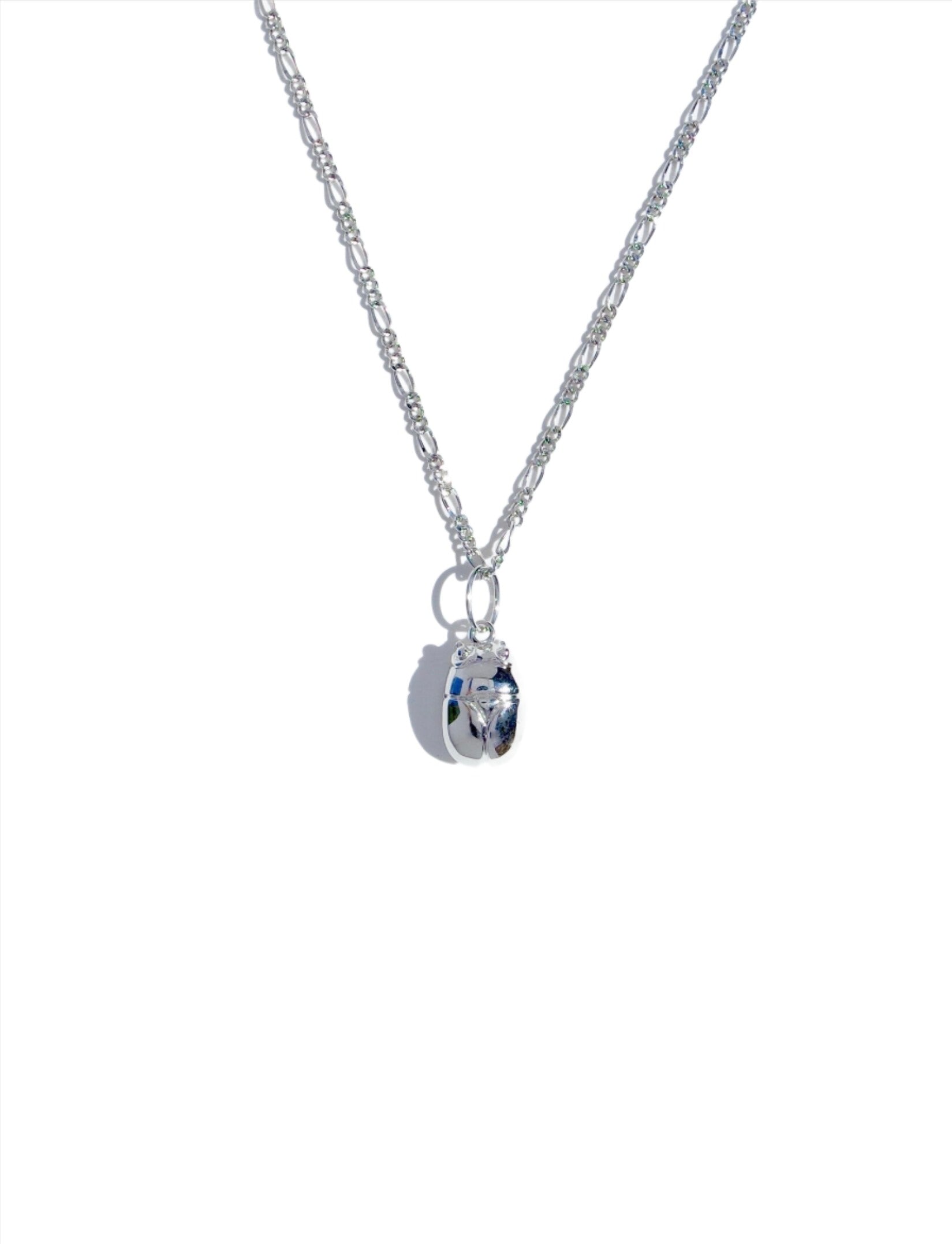 Silver Cleoptera
